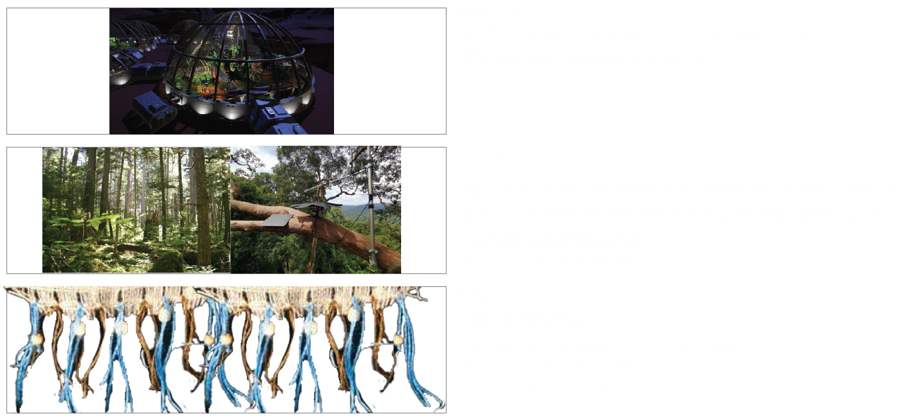 Imagine: USA Pavilion - An Immersive Pavilion - Data Visualization