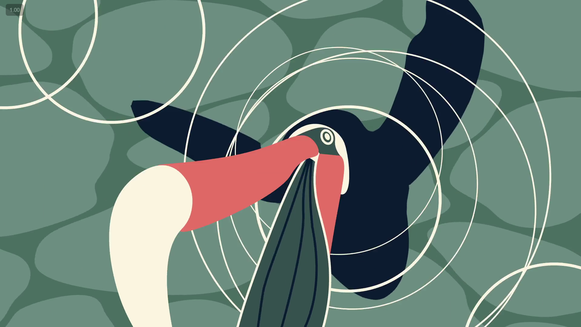 California Brown Pelican: A 3-Part Series