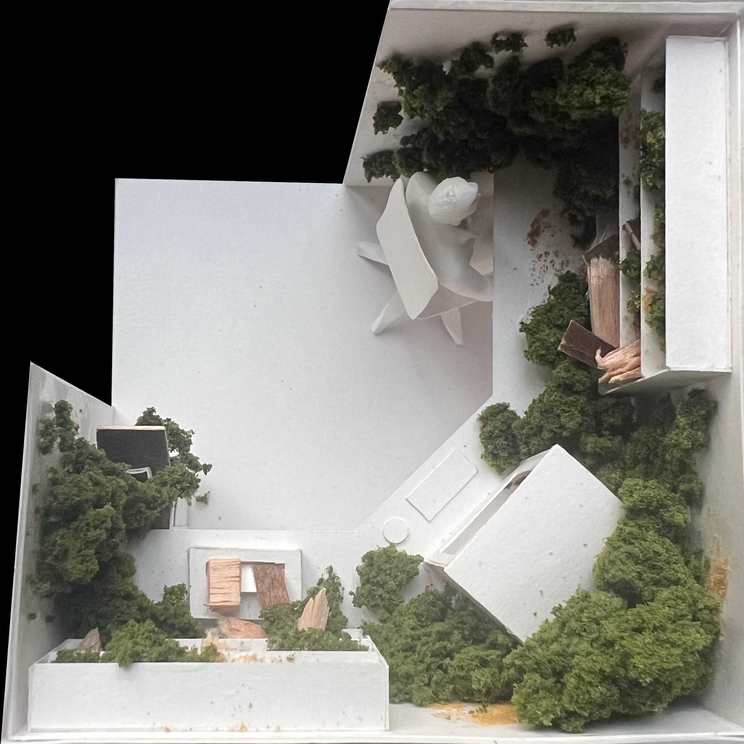 Shwood Pop-Up Experience - Spatial Model 1