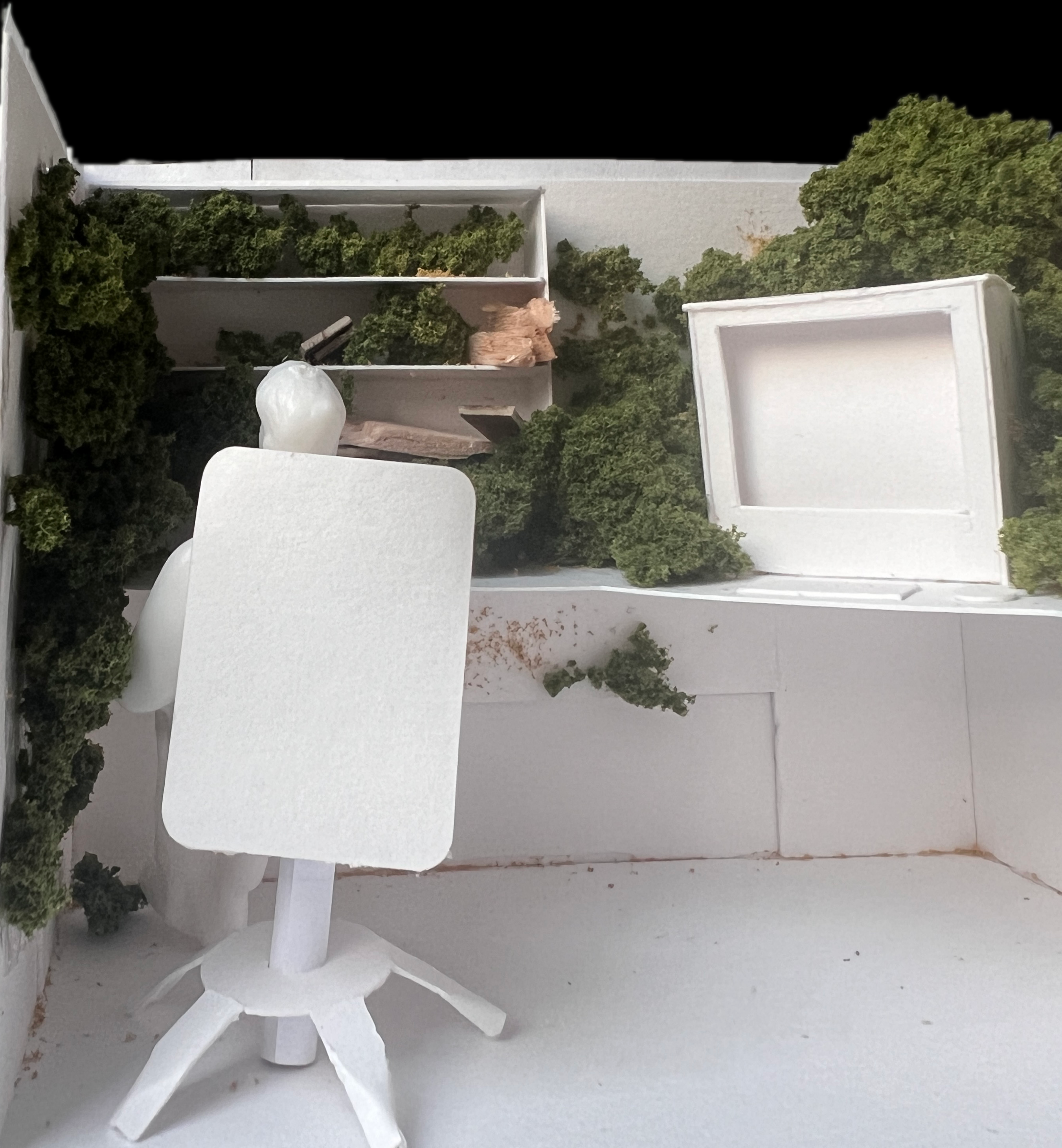 Shwood Pop-Up Experience - Spatial Model 2