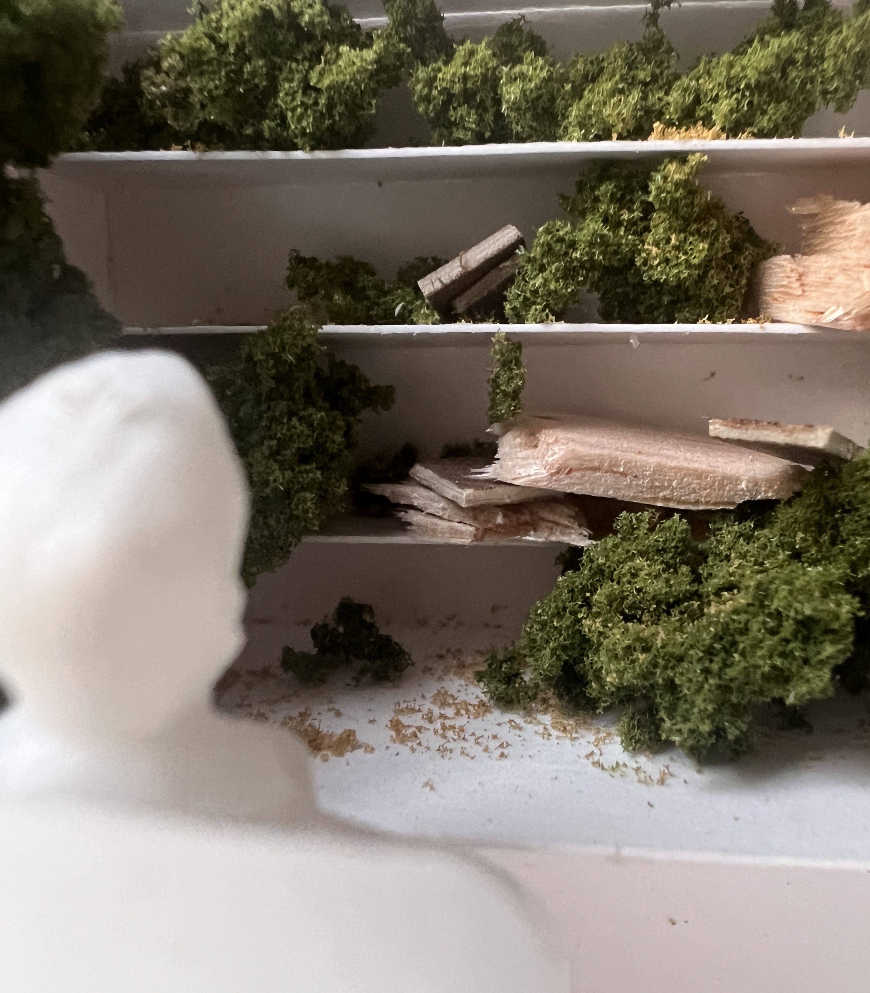 Shwood Pop-Up Experience - Spatial Model 3