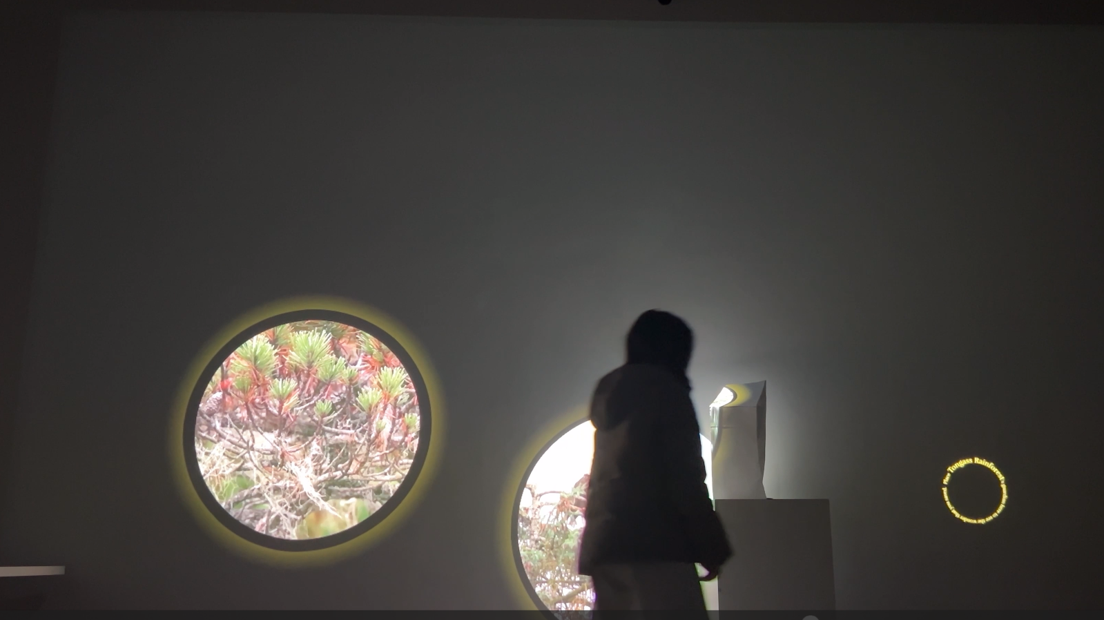 Imagine: USA Pavilion - Visitor Forest Interaction