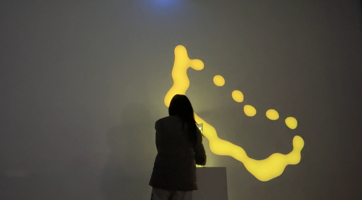 Imagine: USA Pavilion - Visitor Light Interaction